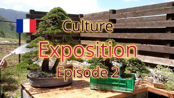 Book - Exposition Ep.2